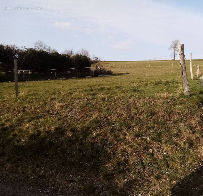 Terrain à SAINT-JUST-MALMONT