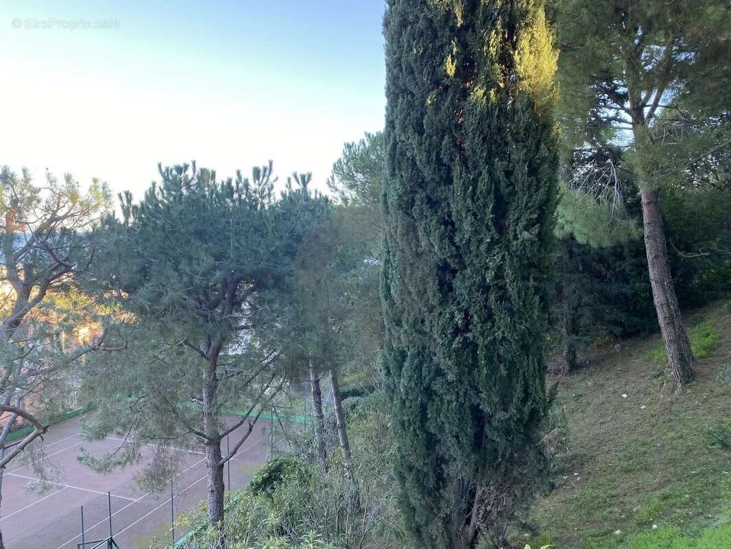 Roquebrune 2 pièces 60m2 cap martin vue mer parking - photo 15