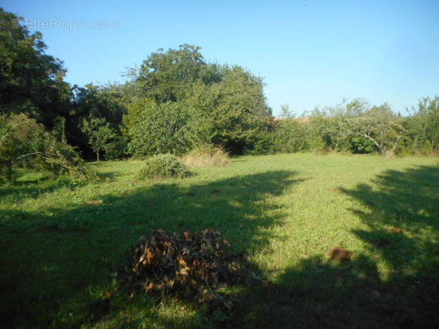 Terrain à SAINT-REMY