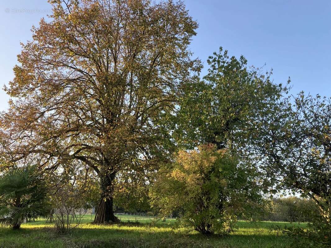 Maison de campagne avec un grand potentiel dans un hameau tranquille - photo 19