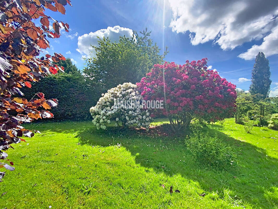 PLOUEZEC  Maison en pierre 103 m² Jardin 2360 m² - photo 15