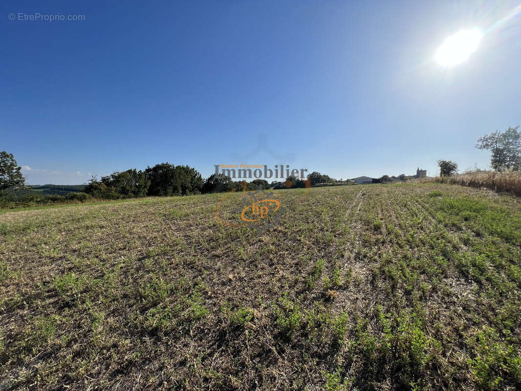 Vente hangars avec terrain Saint Victor et Melvieu - photo 9