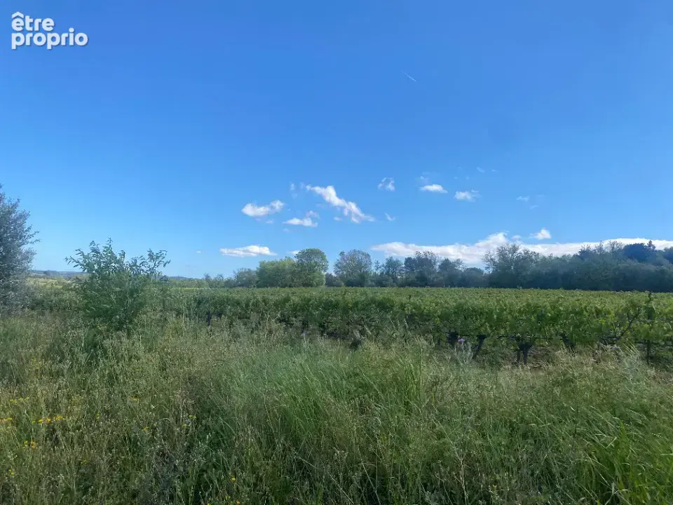 Photo Terrain à Ginestas au prix de 73 000€