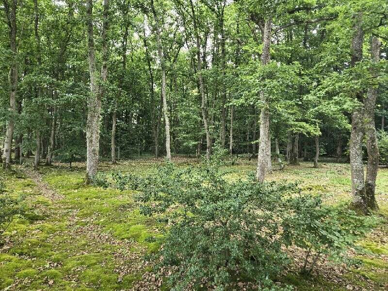 Maison à VERNEUIL-SUR-AVRE