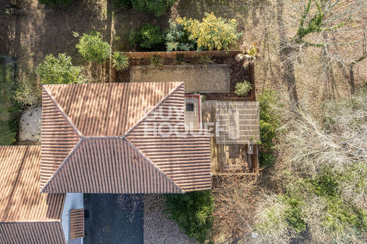 Maison familiale à deux pas du lac de Biscarrosse ? Un air de vacances toute l'année - photo 10
