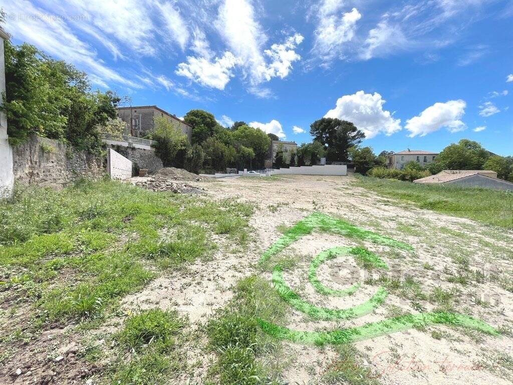 Terrain à LE POUGET