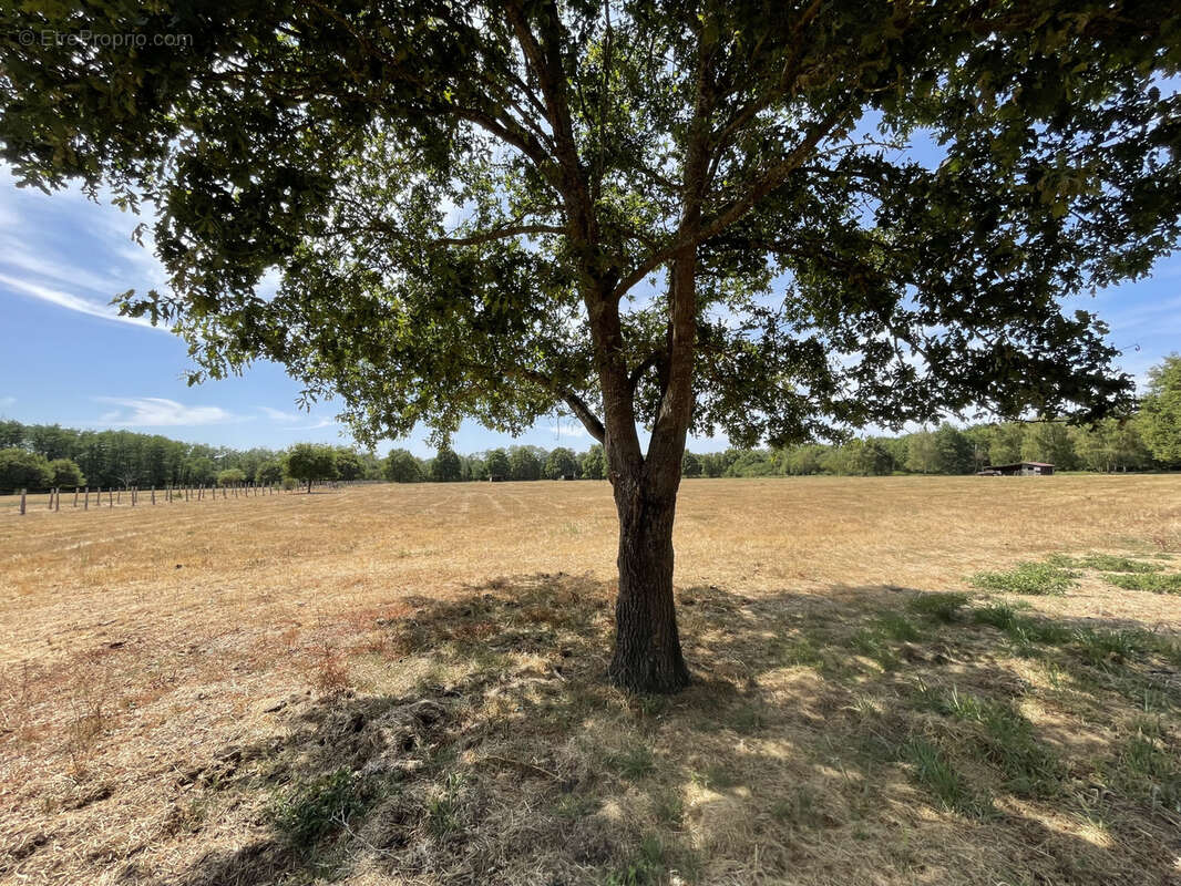 Propriete equestre sur yvre l évêque - photo 5