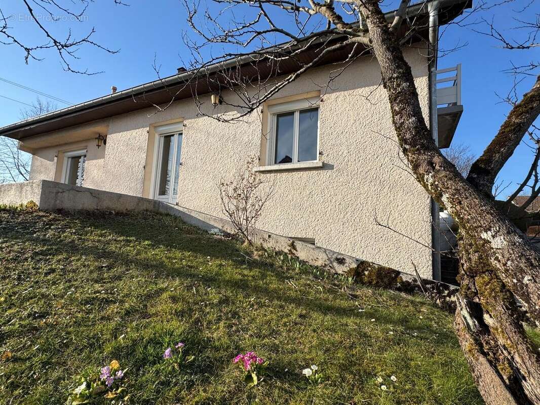 Photo 7 - Maison à SAONE