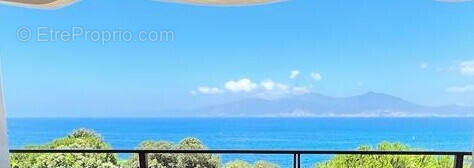 Appartement à PIETROSELLA