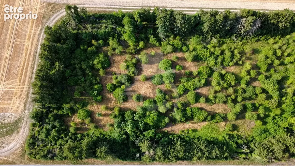 Terrain de 17 960 m2 avec 145 m2 de bâti - photo 2