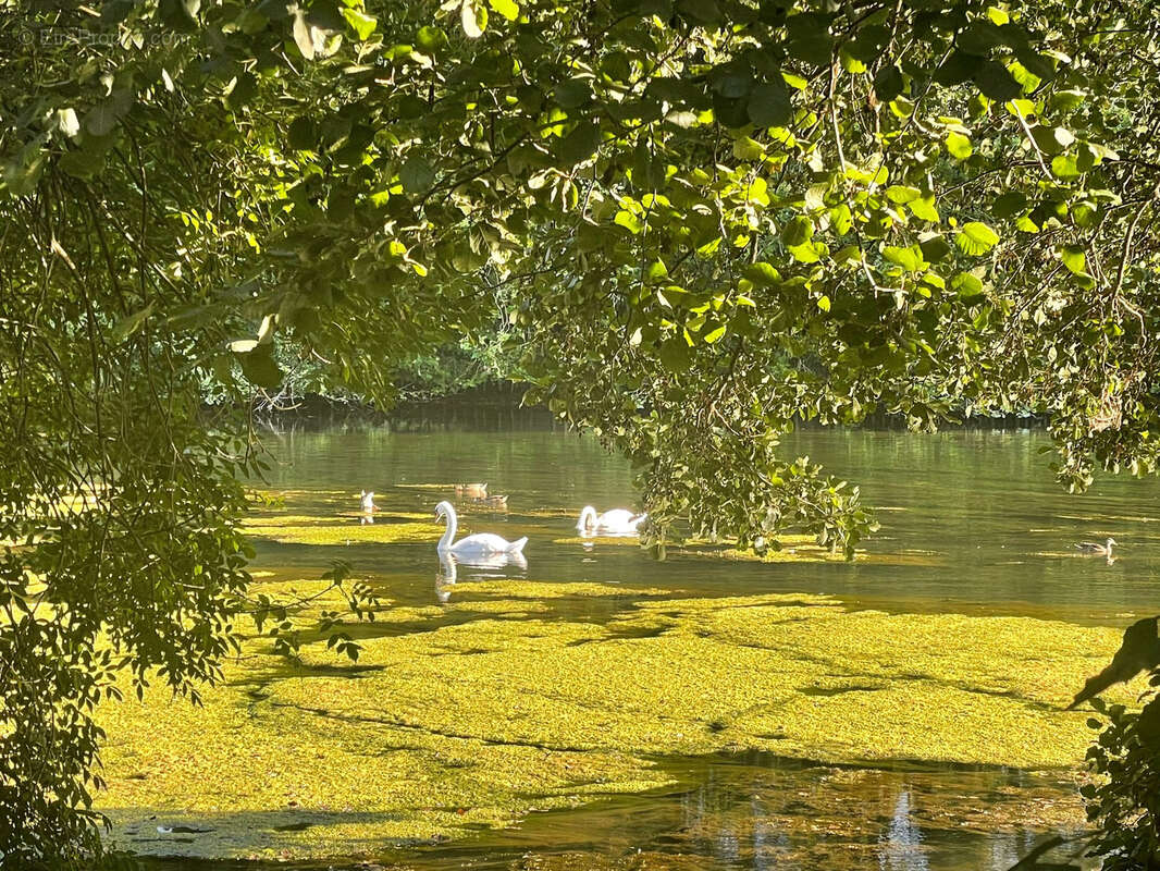 Maison à SAINT-PRYVE-SAINT-MESMIN