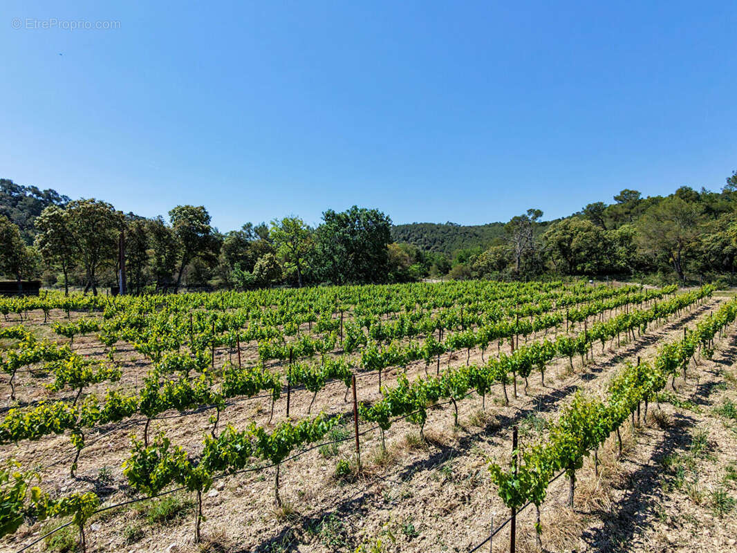 Domaine d'exception - Provence Luberon, 9 pièces 370 m2, 189 ha, vignes, truffière, bois - photo 18