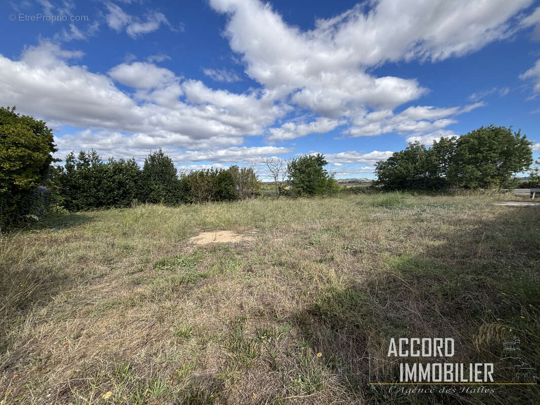 886m2 de terrain constructible a montels !!! - photo 2