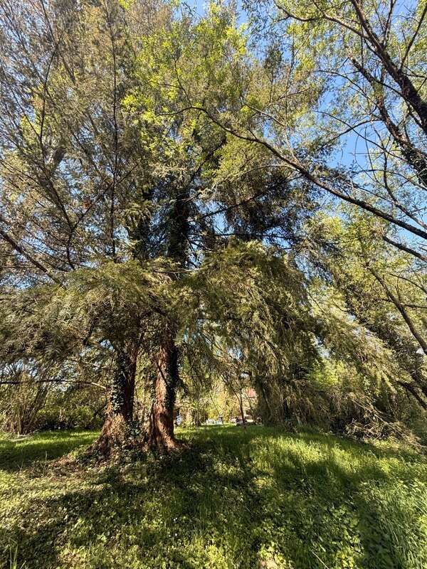 Maison à SAINT-VAURY