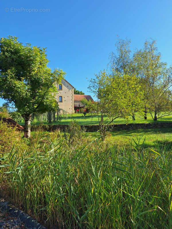 Maison à SALLES-DE-BELVES