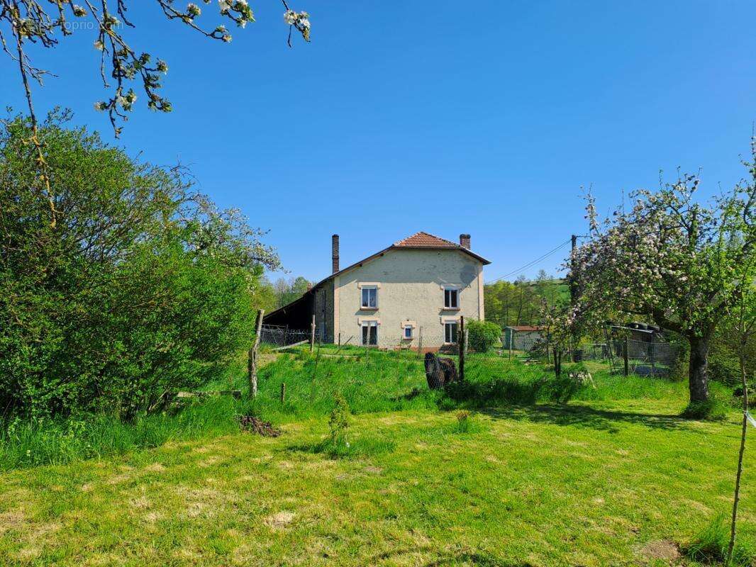 Ancien Corps de ferme de caractère avec dépendances – Terrain de 5960 m² – Proche Belgique & Luxembourg - photo 3
