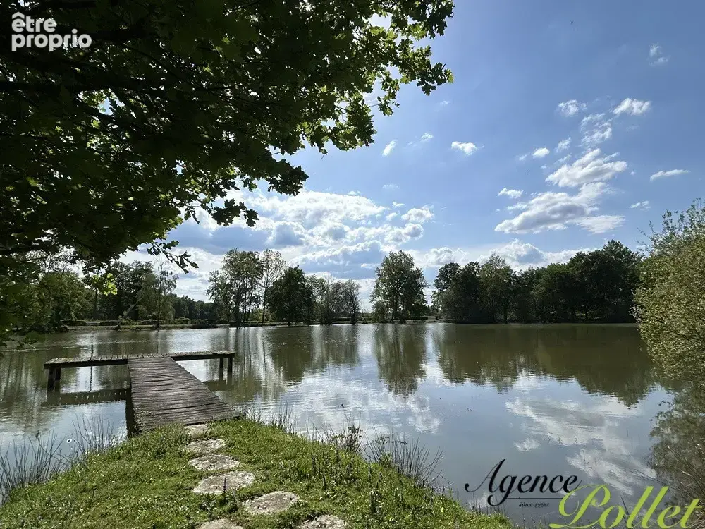 Propriété 4,7 ha avec étang : maison fin XIXème, dépendance, cave, prairie - photo 14
