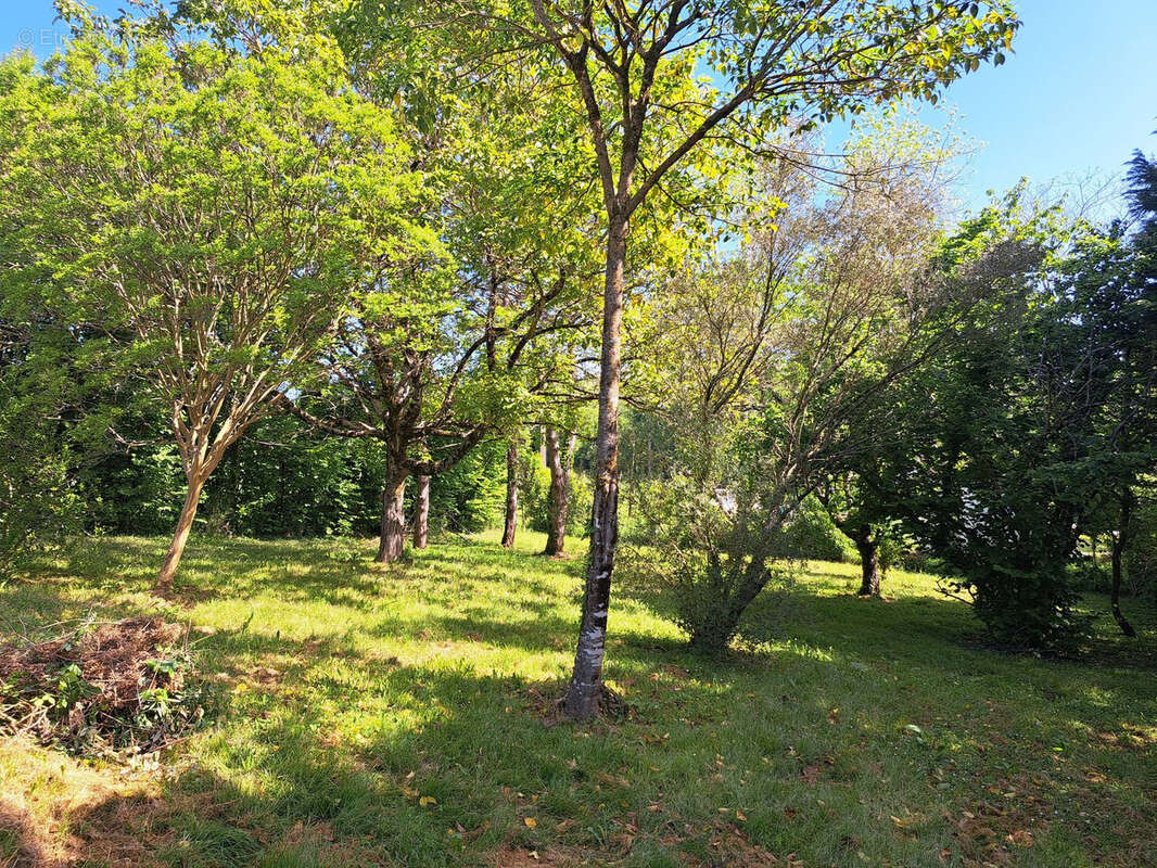 Maison en pierre rénovée avec jardin, à 5 min de Langon - photo 3