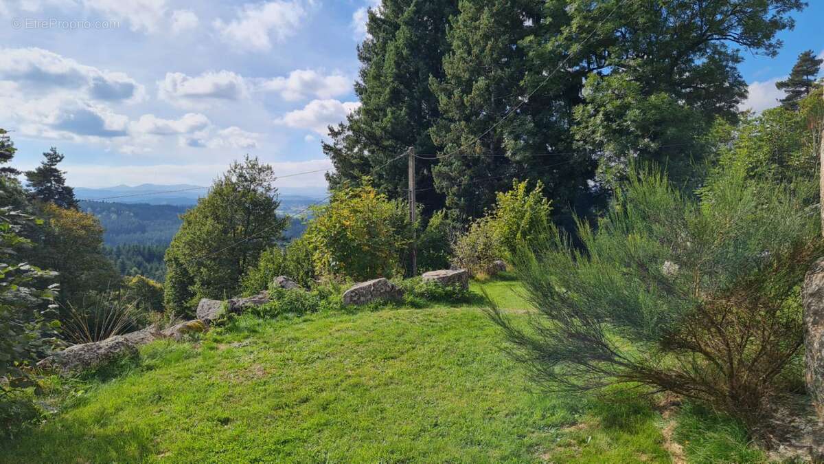 Maison à SAINT-PAL-DE-MONS