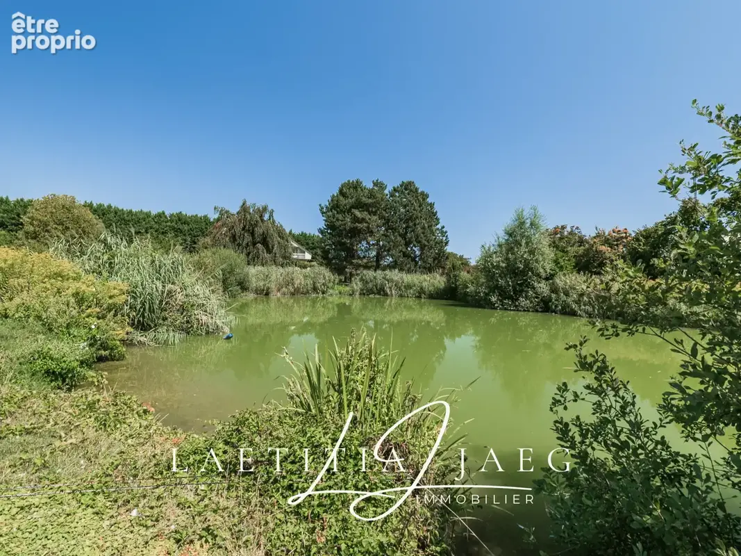 Boofzheim   propriété atypique de charme sur 85 ares avec étang - photo 27