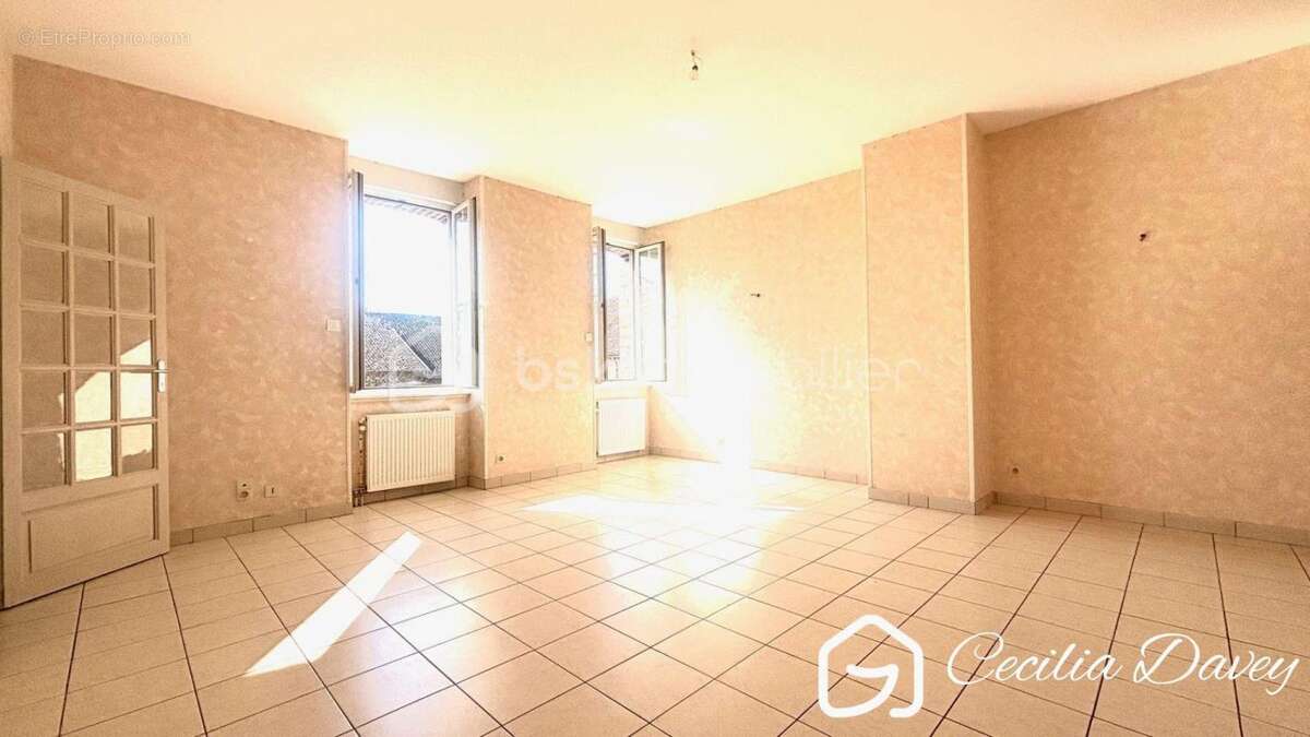 Appartement à VILLENEUVE-SUR-YONNE