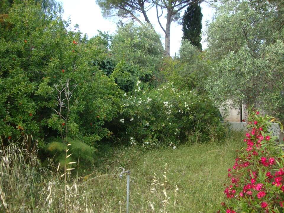 Terrain à PIERREFEU-DU-VAR