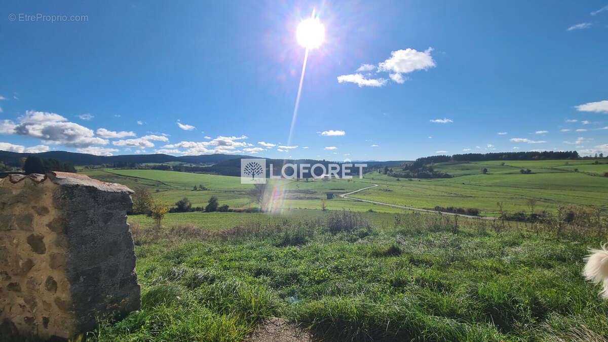 Appartement à SAINT-GENEST-MALIFAUX