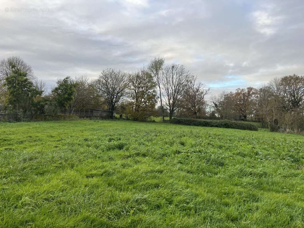 Maison à ROUMAZIERES-LOUBERT