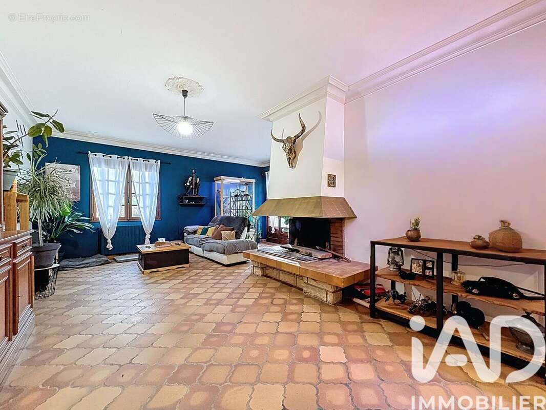 Photo 6 - Maison à MONTESQUIEU-VOLVESTRE