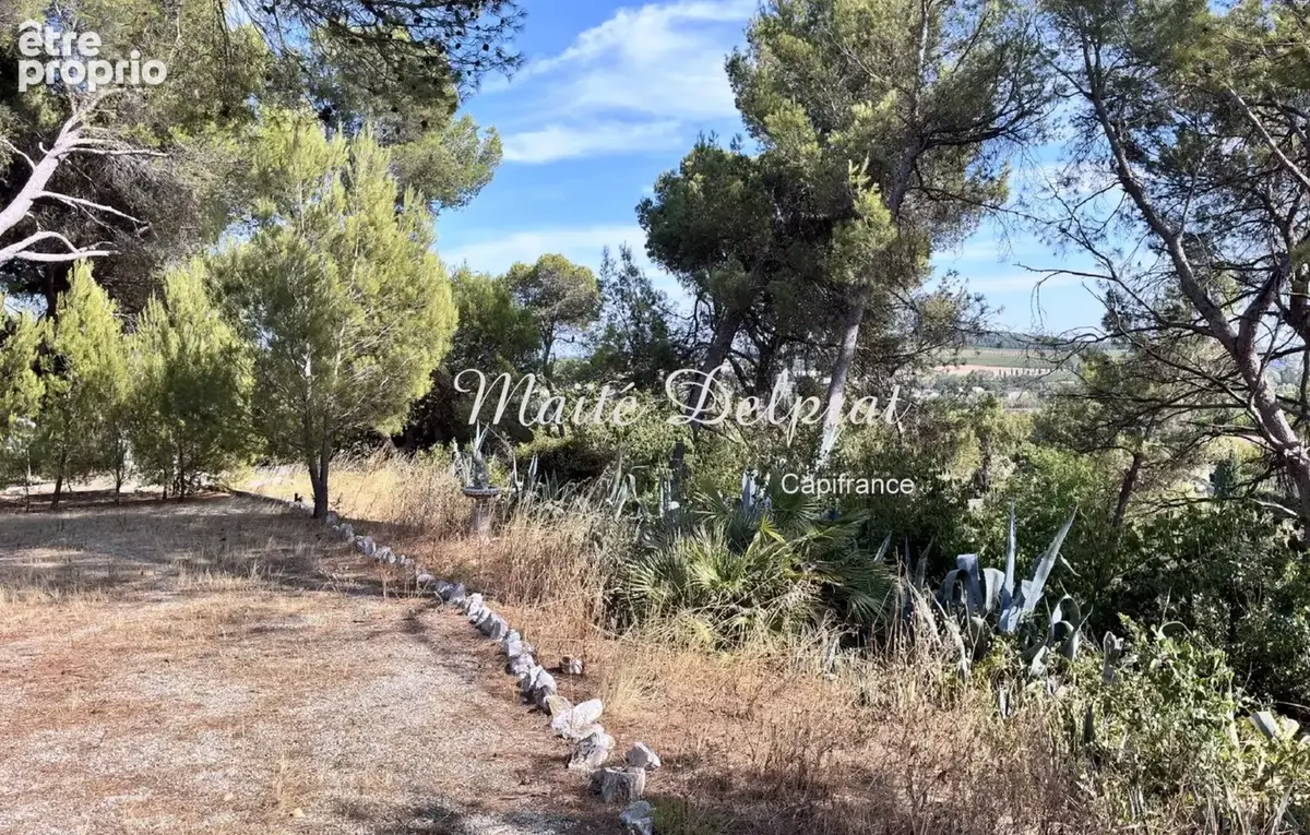 BÉDARRIDES – Maison à vendre 135 m² - piscine - 2 500 m² de terrain – 2 logements - photo 2
