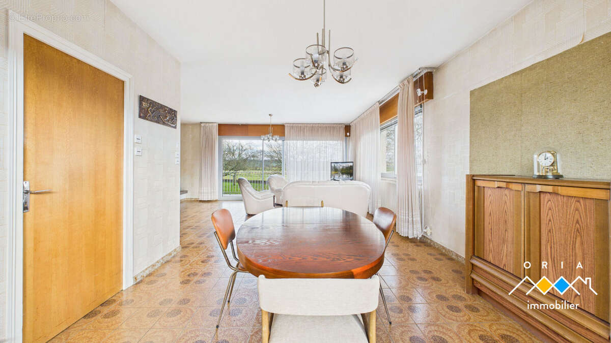 Maison à BRIN-SUR-SEILLE