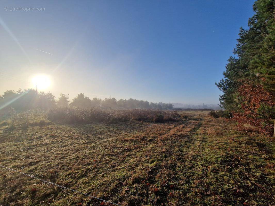 Terrain à CHATILLON-SUR-CHER