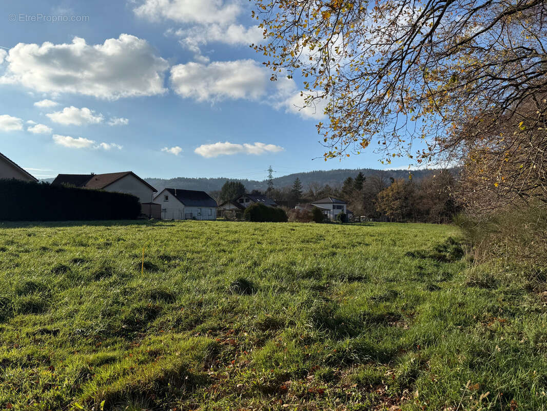 Terrain à SAINT-ETIENNE-LES-REMIREMONT