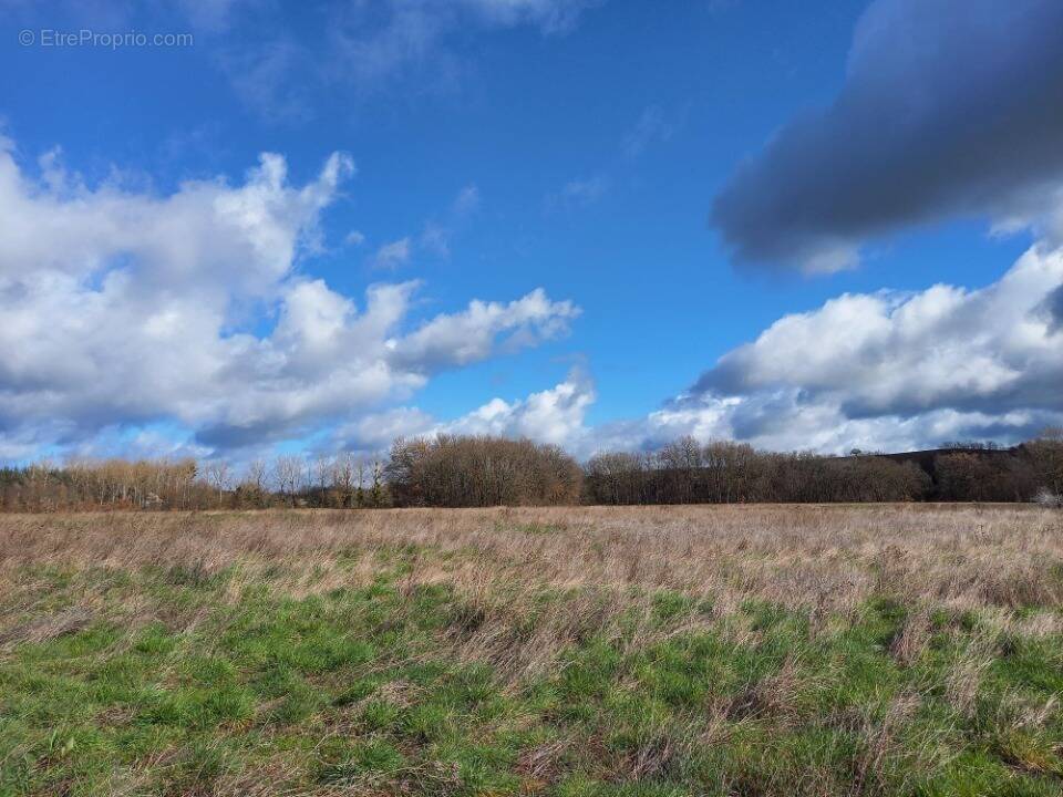 Terrain à BUSQUE