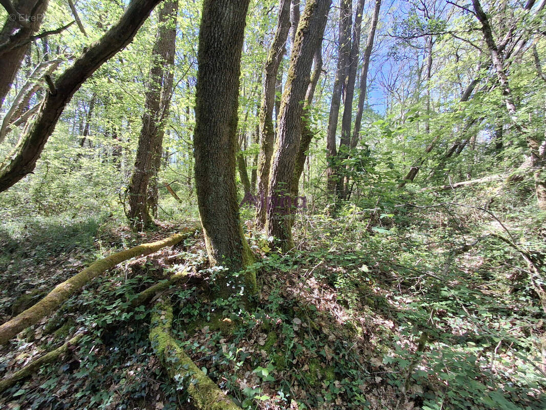 Terrain à BOUILLAC