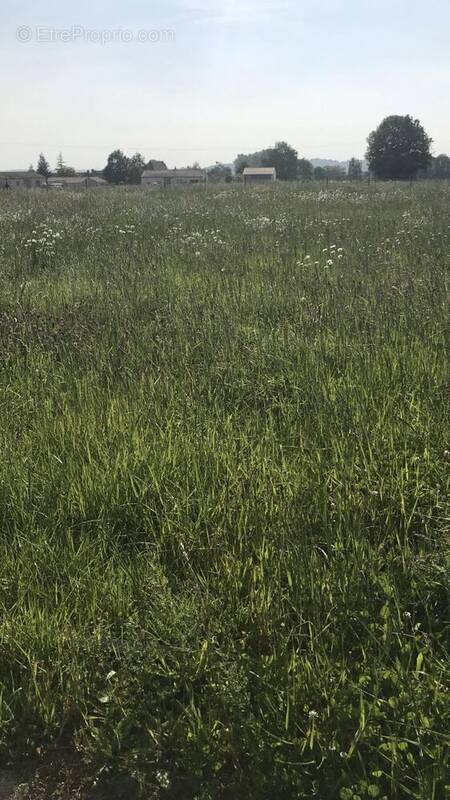 Terrain à SAINT-CYR-DES-GATS