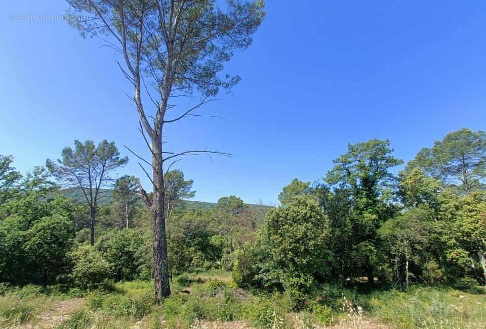 Terrain à LE THORONET