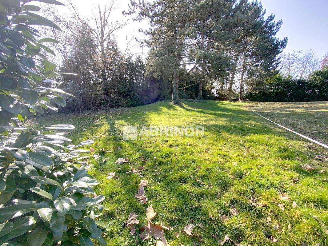 Terrain à TEMPLEUVE