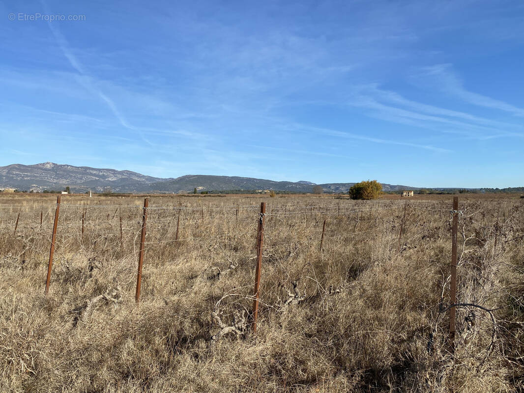 Terrain à SAINT-ANDRE-DE-SANGONIS