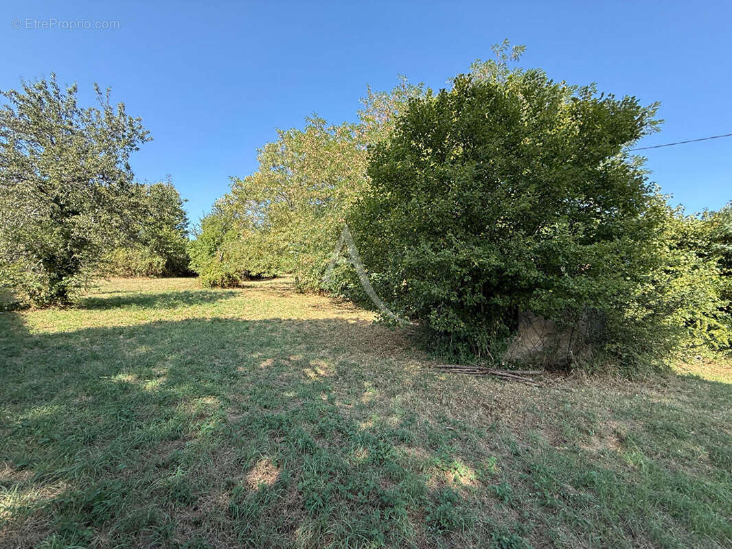 CARMAUX. Terrain de 3259 m² - photo 4