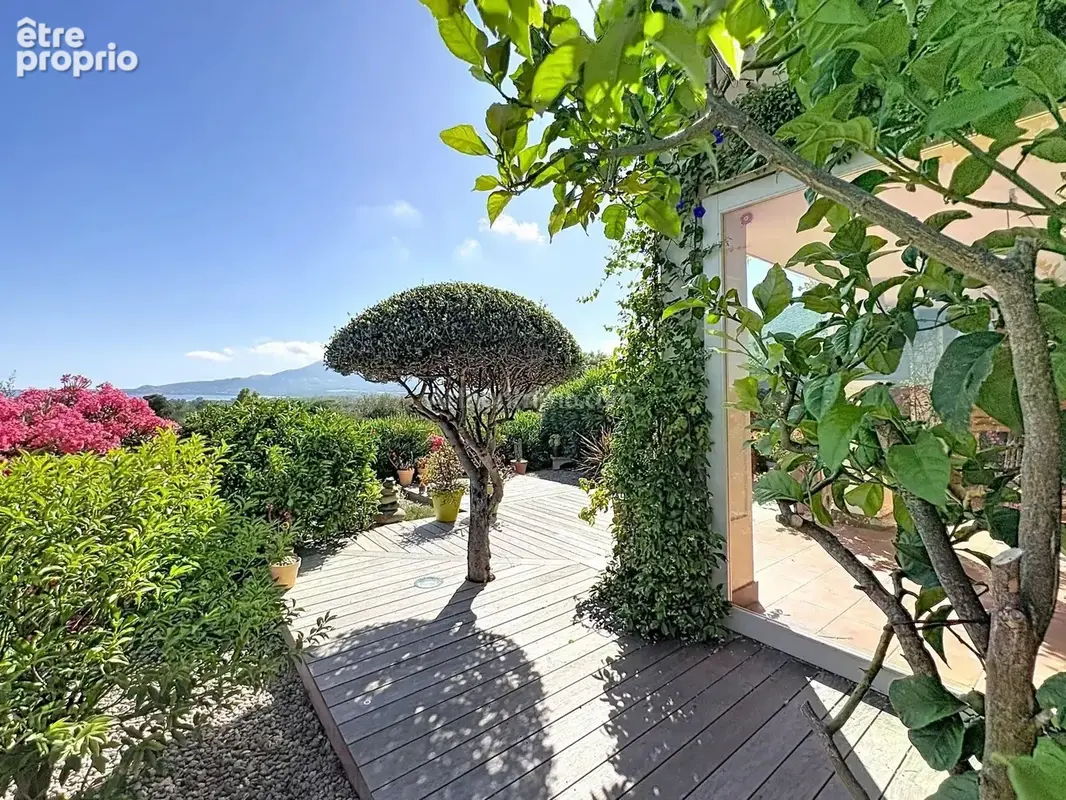 Maison à CALVI