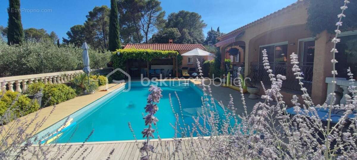 Maison à DRAGUIGNAN