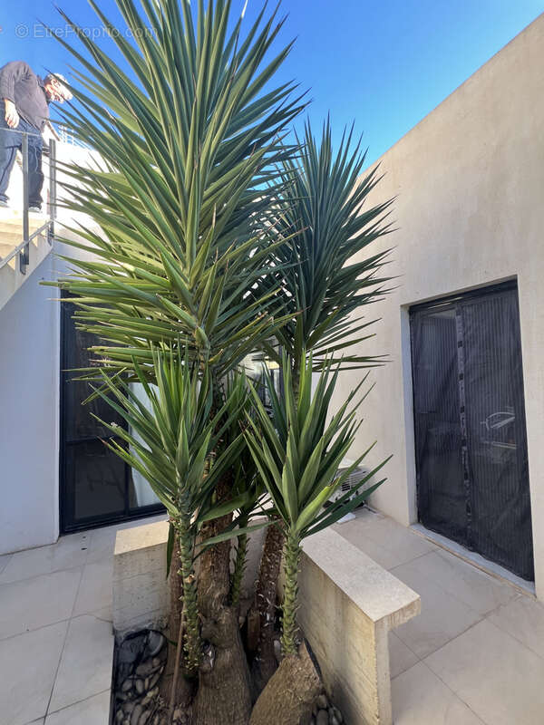 Maison à BELLEGARDE