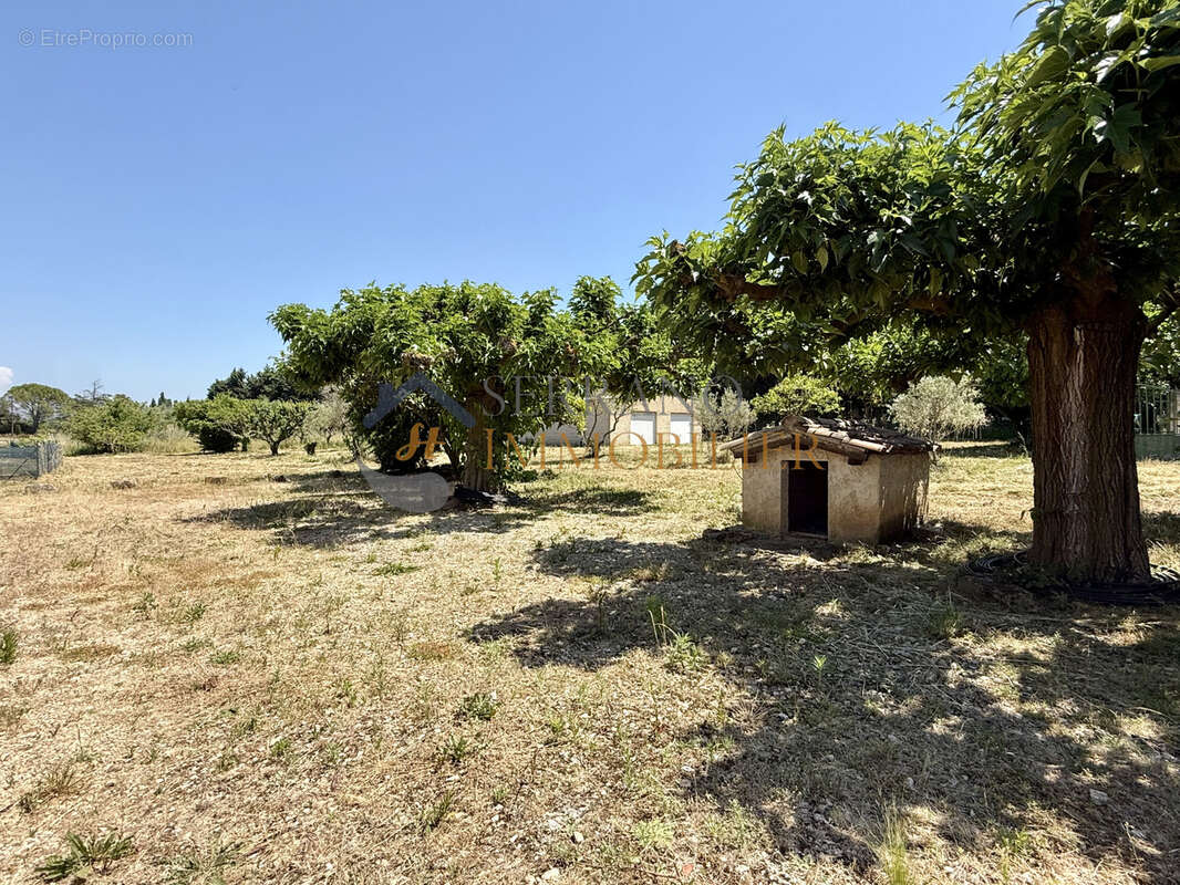Maison à SAINT-REMY-DE-PROVENCE