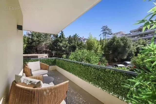 Cannes - basse californie - photo 4