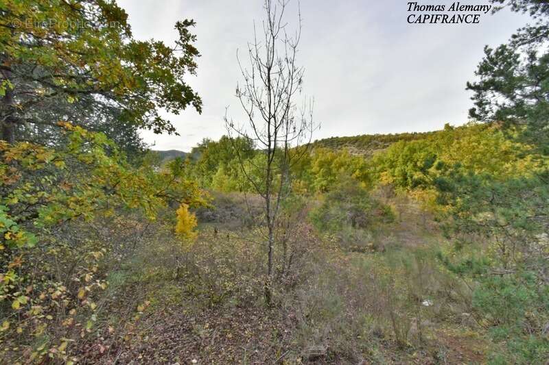 Terrain à bâtir de 3802 m². Libre Constructeur. ESTOUBLON (04) - photo 6