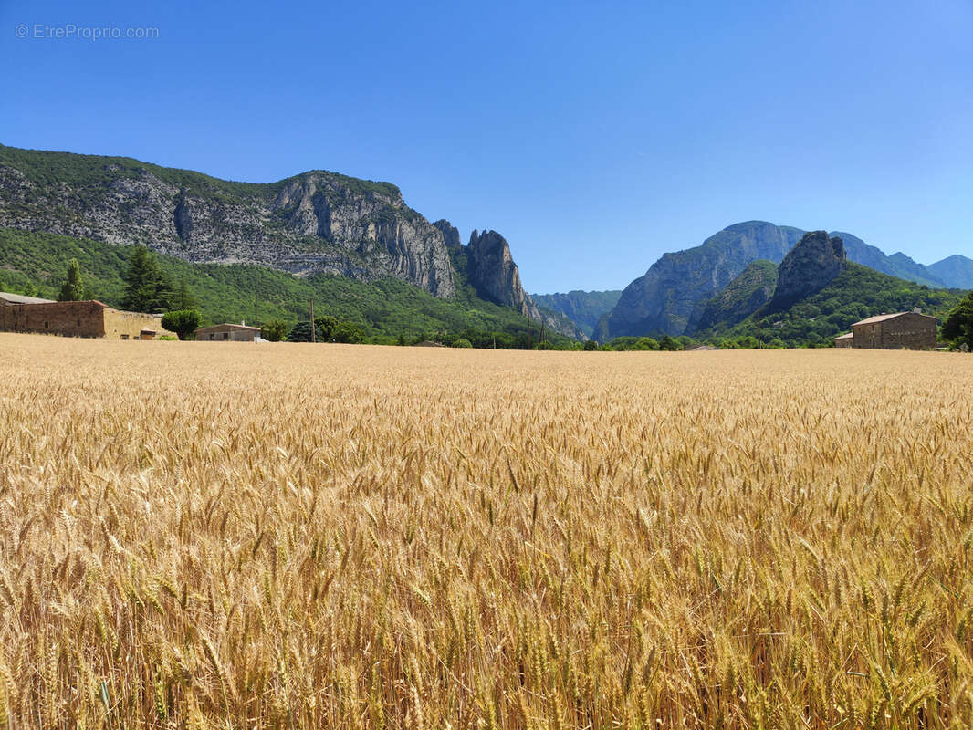 Maison avec gîte indépendant, piscine et vue majeure sur la forêt de Saou - photo 2