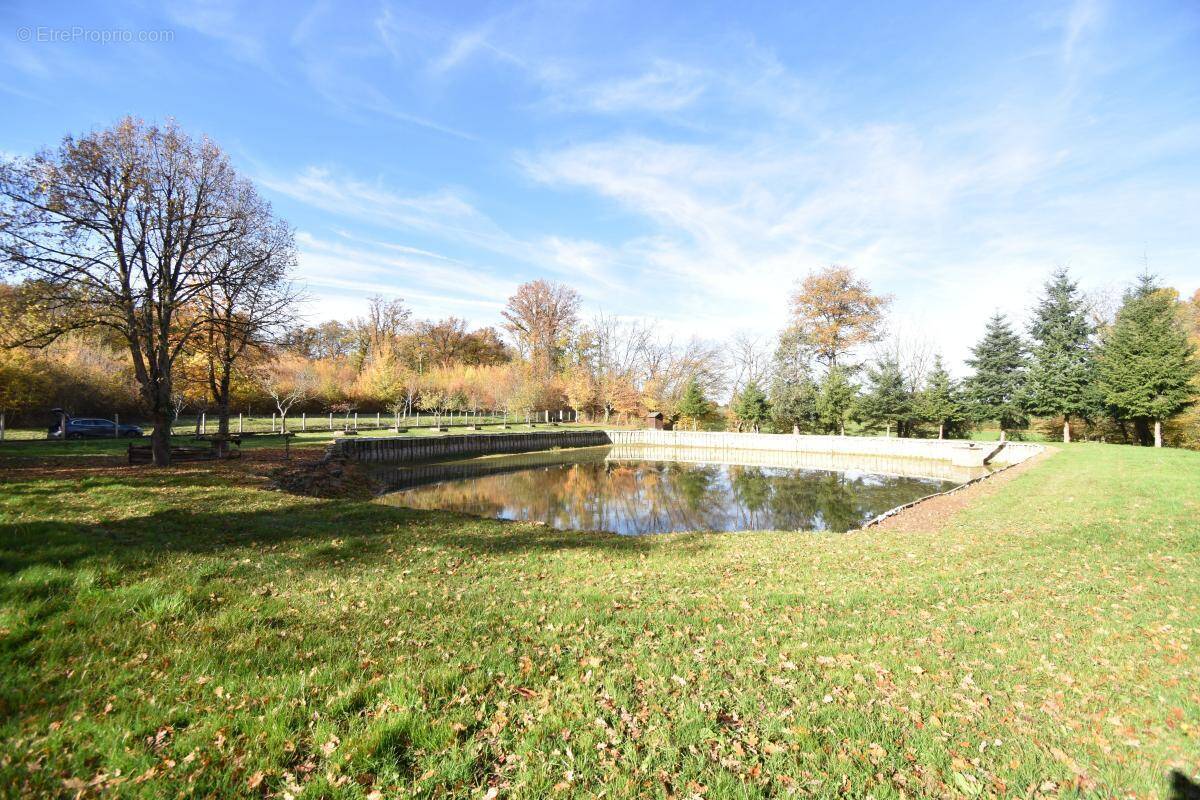 Terrain à SAVIGNY-EN-SANCERRE