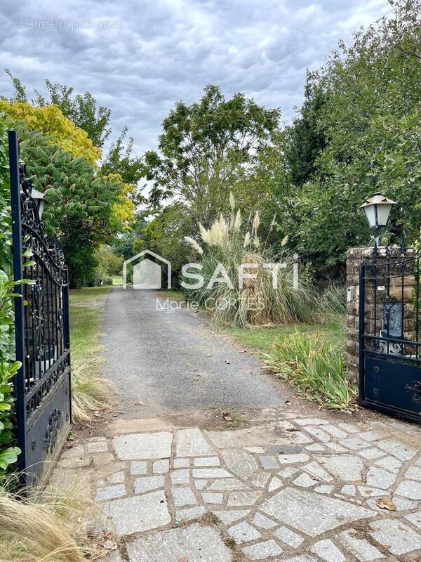 Photo 1 - Maison à ALBI