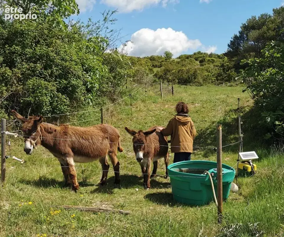 A vendre propriete de 8 hectares  au coeur du  minervois (34) - photo 9